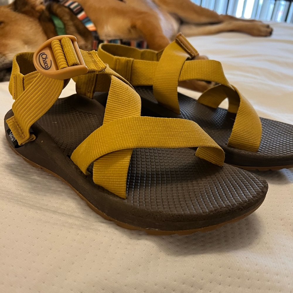 Chaco Mega Z Cloud Sandal in Gold, Sz 9